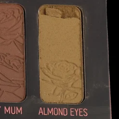 Sombras*Nuestro Secreto Dale Chance Gemini II Palette