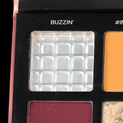 Sombras*Nuestro Secreto Dale Chance Glam Quad Bundle