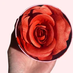 Rubores*Eloise Beauty Eternal 3D Rose Blush Flirty Flame