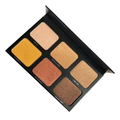 Iluminadores*Danessa Myricks Lightwork II Palette