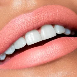 Labiales*Melt Liquid Set Lipstick Lady Like
