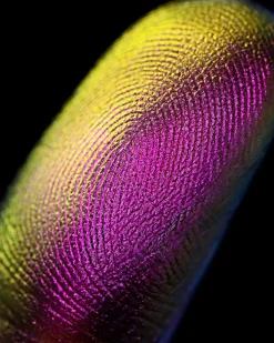 Sombras | Polvos*Karla Cosmetics Multi Chrome Loose Eyeshadow Day Dream