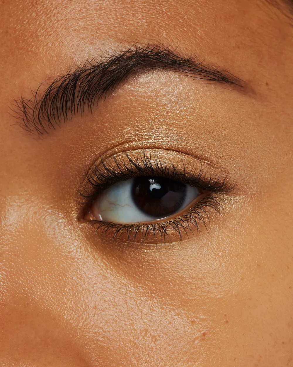 Sombras*af94 Shadowboxer Eye Crayon Gilded Gaze