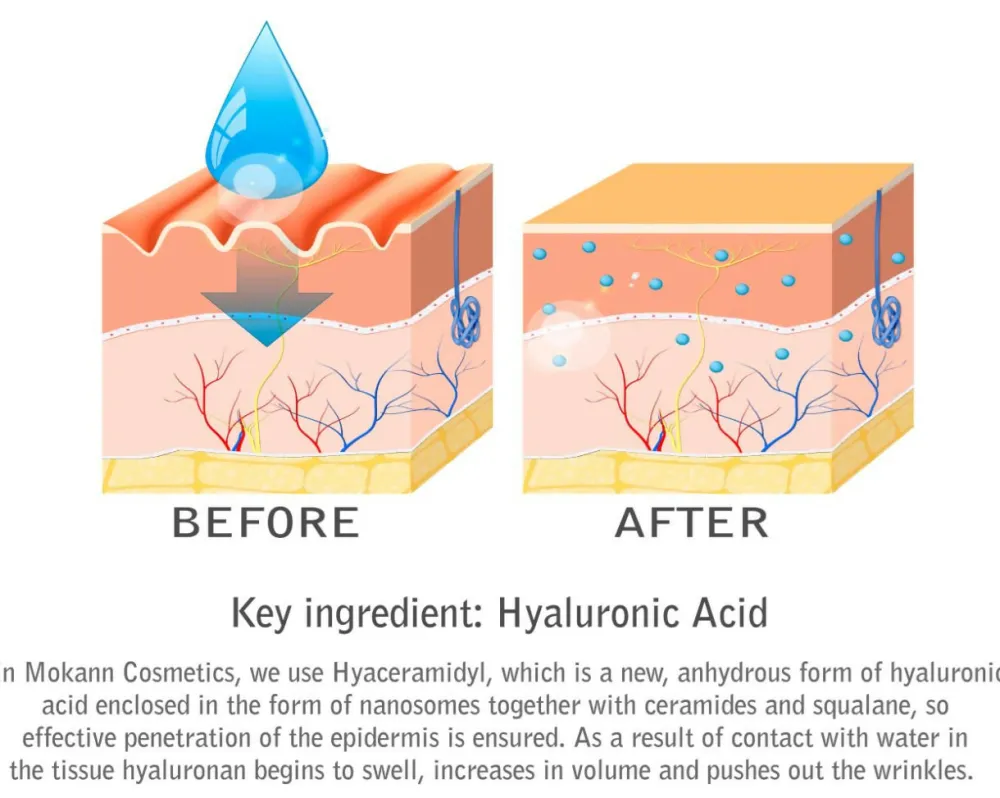 Soluciones | Sueros*Mokann Cosmetics Sérum liposomal para ojos de pepino con ácido hialurónico